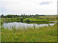 Pond at Down Farm Cranborne Chase, Dorset in SP5 5RX