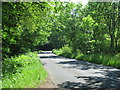 Road bends through the woods in TA3 5SQ