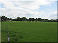 Cricket Pitch, Smallfield in RH6 9JT