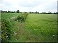 Farmland off the Selby North Mine road in YO19 6EL