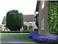 Teigh: blue border in Teigh