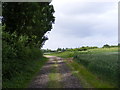 Footpath to Packway Farm in IP17 2JX