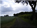 Footpath to Packway Farm in IP19 9BH