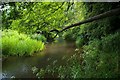 River Darenth near Shoreham in TN14 7UD
