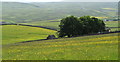 Hay Meadows  About Hodge Hall, Teesdale in DL12 0HB