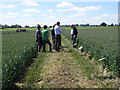 Morley Arable Research Centre open day in NR18 9QN