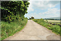 Farm lane to Lower Highfield in Halton-with-Aughton