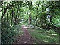 Footpath, Battlescombe in GL6 7AR