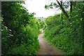Bridleway from Patching Hill to Longfurlong in Angmering & Findon Ward