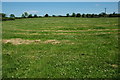 Recently mown field near Cookhill in B49 5JZ