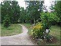 Public garden in East Molesey in KT8 0AQ