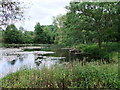 Lake in The Gardens of Easton Lodge in CM6 2ET