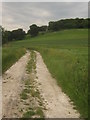 Footpath towards Hillyfield Wood in TN30 7ND
