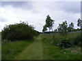 Footpath to Heveningham Long Lane & Mill Road in IP17 2JW