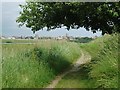 Footpath near Southwold in IP18 6HB
