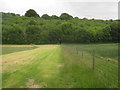 Footpath to Capel Wood in CT4 5RY