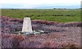 Trig. Point, Pike Hill, Egton High Moor in YO22 5AZ