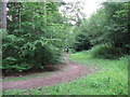 Horse riders on a footpath in Downlands Wood in TN22 5UQ
