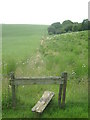 Stile near Little Holt Farm in TN25 5JX