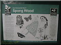 Spong Wood Information Board in TN25 5JU