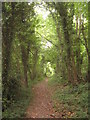 Bridleway in Edards Wood in TN25 5JU