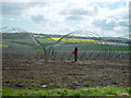 Setting up polytunnels for strawberry growing, West Craigie Farm in EH30 9TR
