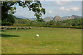 Field east of Llanegryn in LL36 9TY