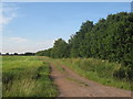 Track on the western edge of Epworth Turbary in DN9 1EA