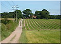 Field and track towards Crookford Farm in DN22 8BT