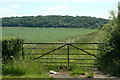 Field gate near Bradmore in Bradmore
