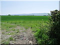 Cereal fields south of Ripe, East Sussex in BN8 6AX