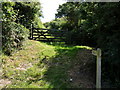 A footpath leading to Woolacombe Down in EX33 1LA