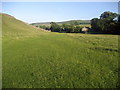 Dales Way below Grassington in BD23 5HQ