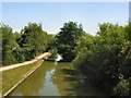 Canal path near Wire Lock in RG17 0UL