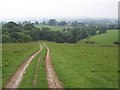 Track leading down to Foss Gill in Calton