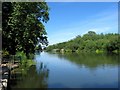 River Avon looking north in WR10 1AZ