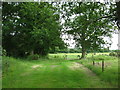 Grassy footpath in RG27 8ST