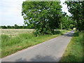 Rural lane north of Cookley Green in IP19 0LJ