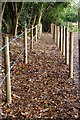 Footpath Near Lingfield, Surrey in RH7 6BJ