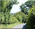 2010 : Marsh Lane between Hallatrow and Clutton in BS39 5EN