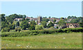 2010 : A flower meadow and Clutton parish church in BS39 5DB
