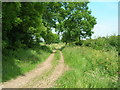 Farm track near North End Farm in HU12 9TP