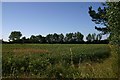 Field at Grove Farm, Westerfield in IP4 3AZ