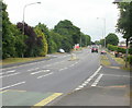 Tree-lined section of Chepstow Road, Newport in Alway Community