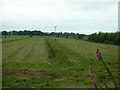 Farmland near Llanbedr in LL45 2NL