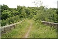 Old Bridge Over The Railway, near Dullatur in G68 0GL
