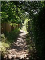 Enclosed footpath near Chilworth in GU4 8LU