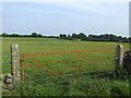 Gate into a field in LL71 7DD