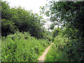 Looking along the path in ST8 7UB
