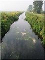 The River Brue taken from B3151 Bridge in BA6 9QY